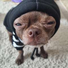 Фото отзыва 6738788