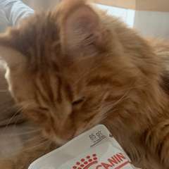 Фото отзыва 10922360