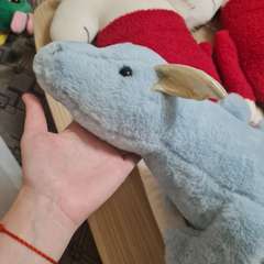 Фото отзыва 10659083