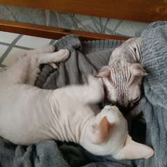 Фото отзыва 10801528