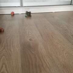 Видео отзыва 8807766