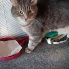 Фото отзыва 10151706