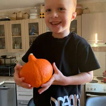 Футболка BH brand: отзыв пользователя Детский Мир