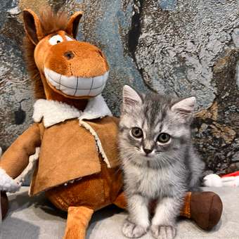 Мягкая игрушка Плюшевая мафия лошадка Кудря: отзыв пользователя ДетМир