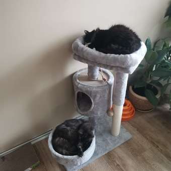 Дом-когтеточка для кошек Не один дома Big House 860019-06GR4: отзыв пользователя. Зоомагазин Зоозавр