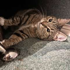 Фото отзыва 10936164