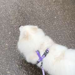 Видео отзыва 11231542