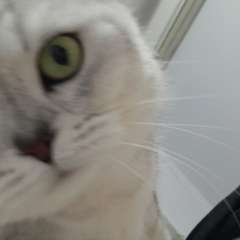 Фото отзыва 11024900