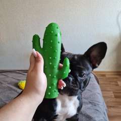 Фото отзыва 10274919