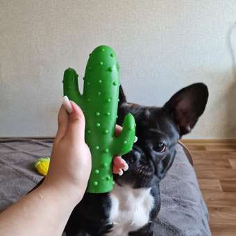 Игрушка для собак Barbaks Кактус пищит 20*9см винил: отзыв пользователя. Зоомагазин Зоозавр