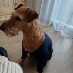 Фото отзыва 10918052