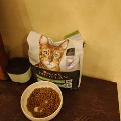 Фото отзыва 10587036