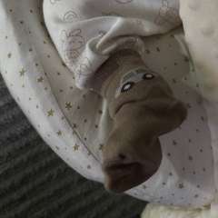 Фото отзыва 10920255