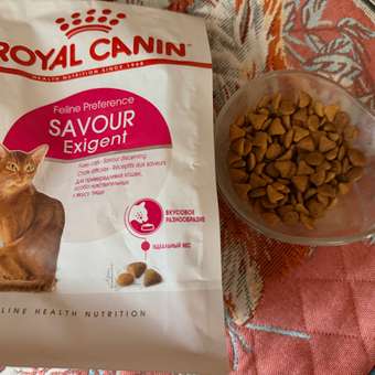 Корм сухой для кошек ROYAL CANIN Exigent Savour 400г привередливых к вкусу продукта: отзыв пользователя. Зоомагазин Зоозавр