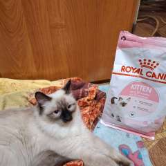 Фото отзыва 10732547