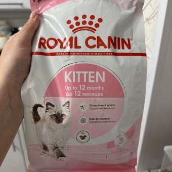 Корм сухой для котят ROYAL CANIN Kitten 1.2кг: отзыв пользователя. Зоомагазин Зоозавр