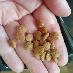 Фото отзыва 10987920