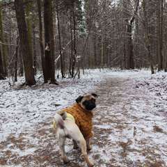 Фото отзыва 10650867