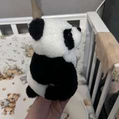 Фото отзыва 10921838