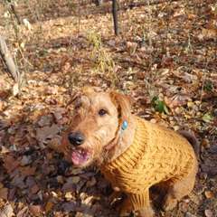 Фото отзыва 10626118