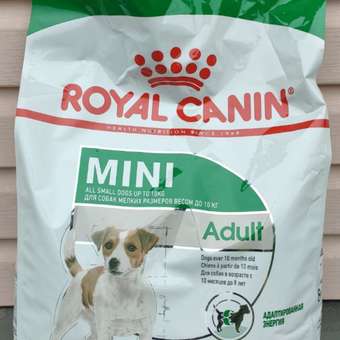 Корм для собак ROYAL CANIN Adult мелких размеров от 10 месяцев кусочки в соусе пауч 85г: отзыв пользователя. Зоомагазин Зоозавр