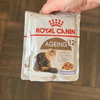Корм для кошек ROYAL CANIN Ageing 85гр для пожилых 12+ в соусе пауч: отзыв пользователя. Зоомагазин Зоозавр