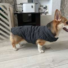 Фото отзыва 10834481