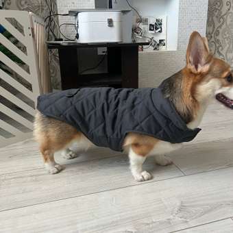 Куртка для собак Не один дома: отзыв пользователя. Зоомагазин Зоозавр