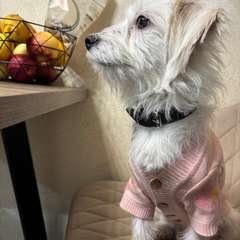 Фото отзыва 10627009