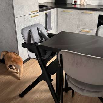 Стульчик для кормления Olsson Loft трансформер: отзыв пользователя Детский Мир