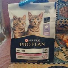 Фото отзыва 10983174