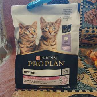 Корм для котят PRO PLAN с чувствительным пищеварением индейка 1.5кг+400г: отзыв пользователя. Зоомагазин Зоозавр