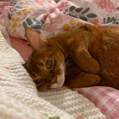 Фото отзыва 10585577