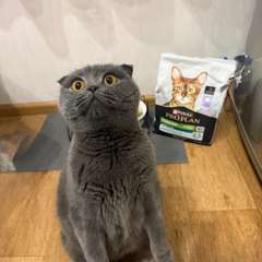 Фото отзыва 10999831