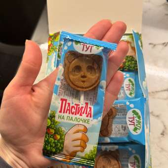 Пастила на палочке яблочная без сахара ФРУКТЫ ТУТ фруктовая 240 гр 24 шт: отзыв пользователя Детский Мир