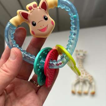 Прорезыватель Sophie la girafe Подарочный: отзыв пользователя Детский Мир