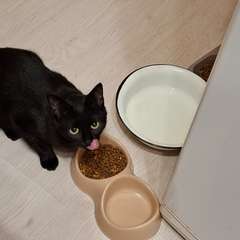 Фото отзыва 10047274