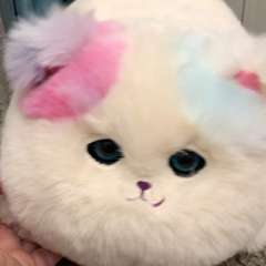 Видео отзыва 10691860