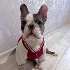 Фото отзыва 10638585