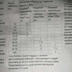 Фото отзыва 10138579