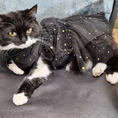 Фото отзыва 10839577