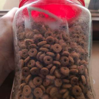 Корм для кошек ROYAL CANIN Skin&Coat Formula кастрированных идеальная кожа и шерсть1.5кг: отзыв пользователя. Зоомагазин Зоозавр