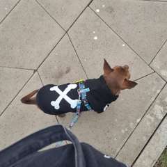 Фото отзыва 6738788