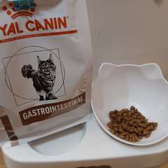 Фото отзыва 11000815