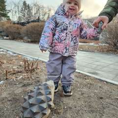 Фото отзыва 8424143