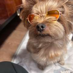 Фото отзыва 10782836