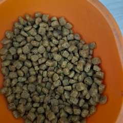 Фото отзыва 10719004