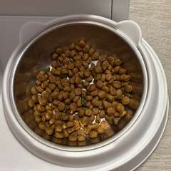 Фото отзыва 10985197