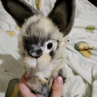 Мягкая игрушка HANSA зайка: отзыв пользователя Детский Мир