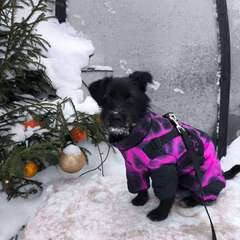 Фото отзыва 10935397